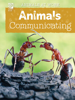 cover image of Animals Communicating